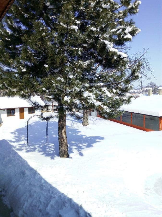 Bolyarski Stan Guest House Weliki Preslaw Exterior foto